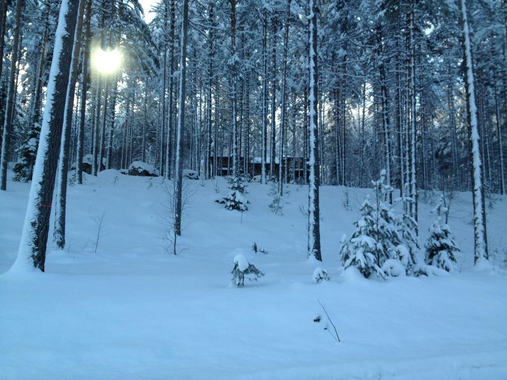 Kultainen Kaava Cottages Padasjoki Dış mekan fotoğraf